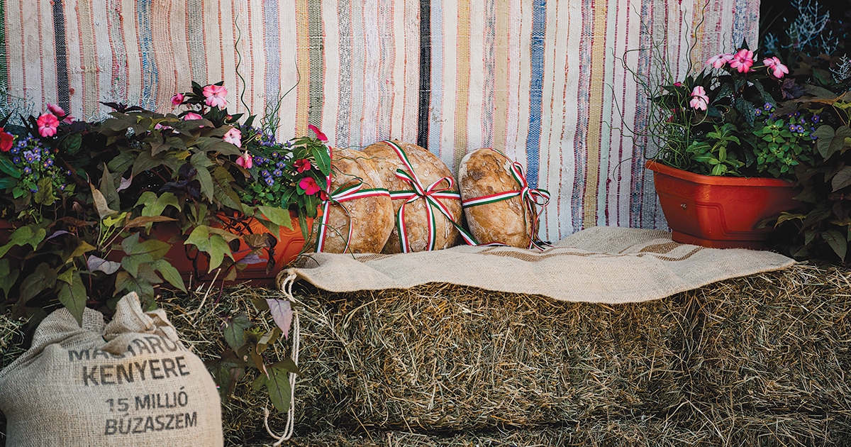 Nemcsak jótékonyság, hanem az összetartozás jelképe is